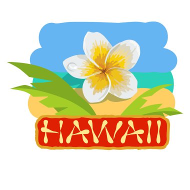 Plumeria çiçek tropikal konseptiyle. Hawaii seyahat için vektör çizim simgesi.