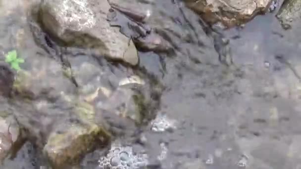 Eau de rivière qui coule sur les rochers 