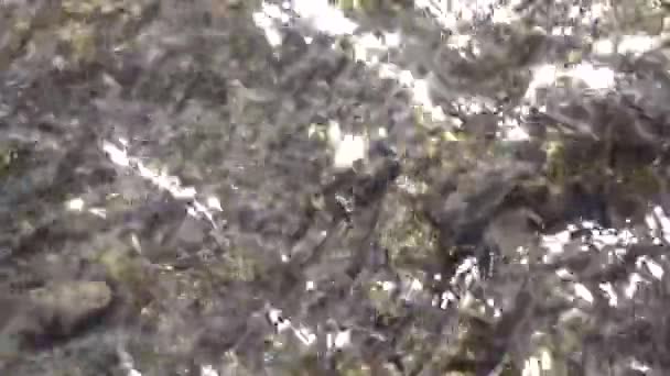 Kayaların üzerinden akan nehir suyu — Stok video