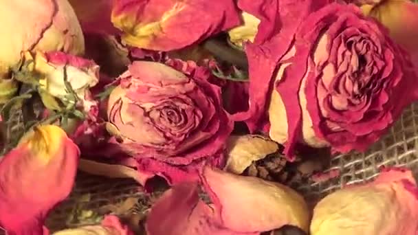 Primer plano de rosas secas flores girando sobre fondo de arpillera — Vídeos de Stock