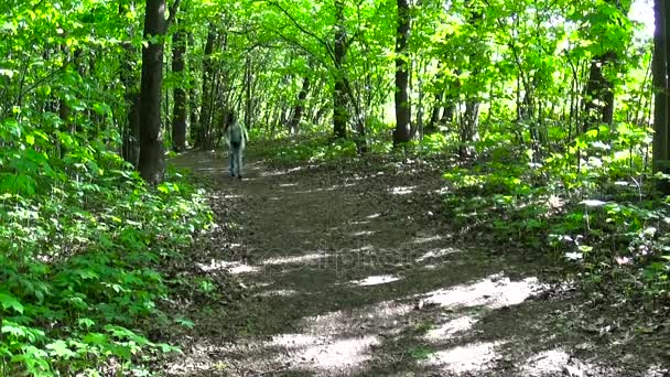 Een tienermeisje loopt door het park. Schoolmeisje in de frisse lucht op een zonnige dag. Statische camera film. — Stockvideo