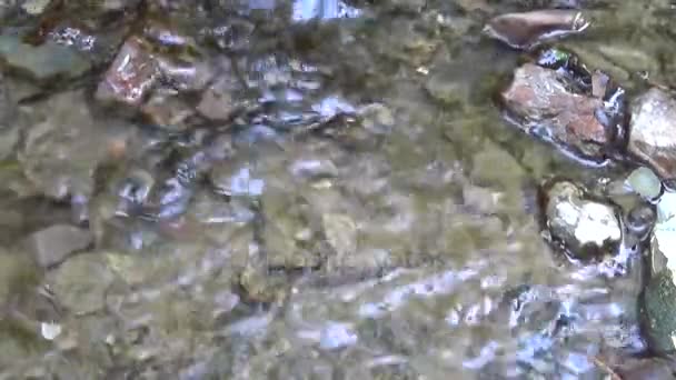Річкова вода, що тече над камінням — стокове відео