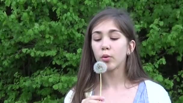 Young Girl Blowing on a Dandelion. Imágenes de vídeo HD . — Vídeos de Stock