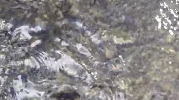 Eau de rivière qui coule sur les rochers — Video