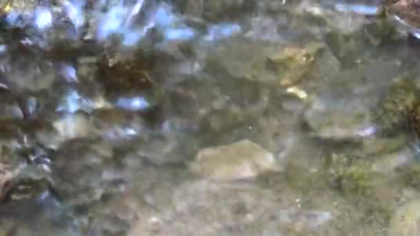 Flusswasser fließt über Felsen — Stockvideo