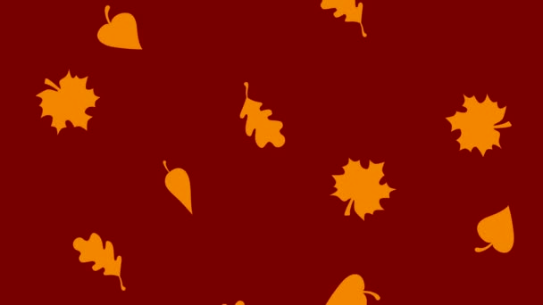 Autumn seamless pattern with autumn leaves. HD video footage background. — Stock Video