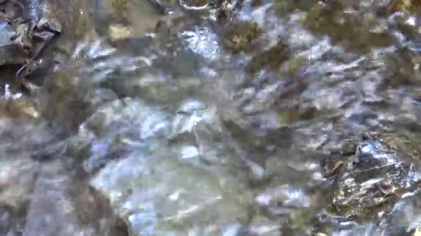 Flusswasser fließt über Felsen — Stockvideo