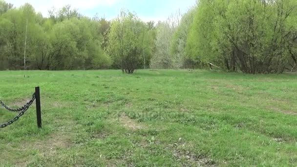 Das Massengrab der Soldaten ist im großen patriotischen Krieg umgekommen. Moskau, Dorf uzkoe. Drehtermin 7. Mai 2017. panorama mit der verwendung von unberührtem hd vide3o steadicam-material. — Stockvideo