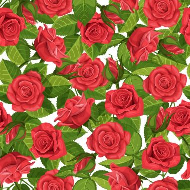 Kırmızı gül vektör çizim sorunsuz arka plan.