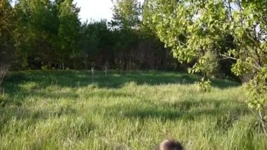 Güzel genç kız parkta otururken kalem kroki olun. Hareket kamera steadicam ile.