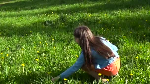 Uma rapariga a apanhar dentes-de-leão amarelos no prado. dente-de-leão. Dia de primavera. Adolescente sorridente bonita no parque de primavera com flores. Imagens de vídeo HD câmera estática . — Vídeo de Stock