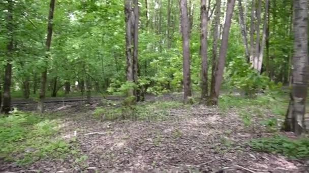 Panorama du parc sans personnes avec arbres, sentier, banc en bois et urne . — Video