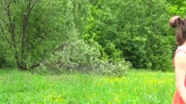 Genç kız bir karahindiba üzerinde üfleme. Video görüntüleri Hd statik kamera çekim..