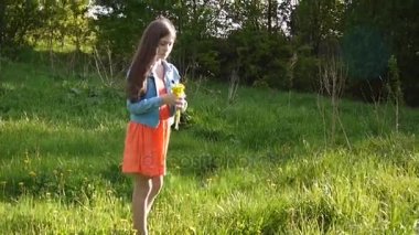 Kız sarı dandelions çayır on toplama. Dandelions. Bahar günü. Çiçekli bahar parkta güzel gülümseyen genç. Video görüntüleri Hd hareket kamera steadicam ile.