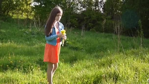 Дівчина збирає жовті кульбаби на лузі. кульбаби. весняний день. Прекрасний усміхнений підліток у весняному парку з квітами. Відеокамера HD руху зі стайкамом . — стокове відео