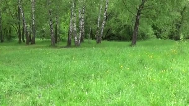 Teenager girl meditating outdoor. HD movement camera panorama with steadicam. — Stock Video