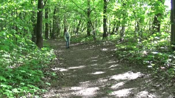 Vonzó tini lány szép tavaszi parkban sétálva mobiltelefonon beszél. — Stock videók