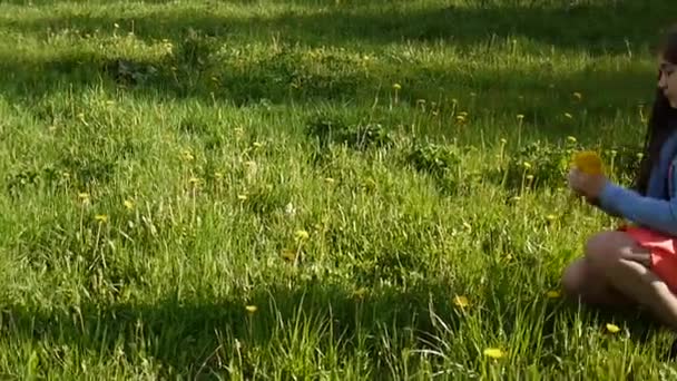 Uma rapariga a apanhar dentes-de-leão amarelos no prado. dente-de-leão. Dia de primavera. Adolescente sorridente bonita no parque de primavera com flores. Filmagem de vídeo HD câmera de movimento. Panorama . — Vídeo de Stock
