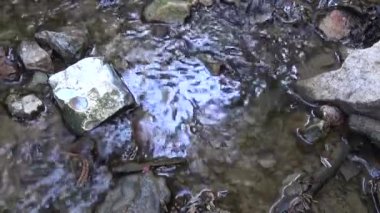 Kayaların üzerinden akan nehir suyu