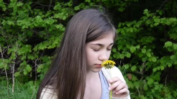 Portrait of teenager girl in the park sniffing dandelion. — Stock Video