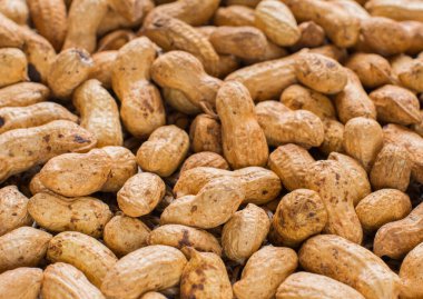 Kabuğunda kavrulmuş yer fıstığı. Arkaplan