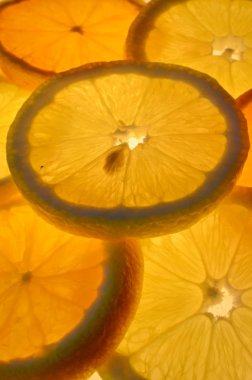 Parlayan Portakallar ve limon duvar kağıdı 