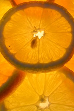 Parlayan Portakallar ve limon duvar kağıdı 