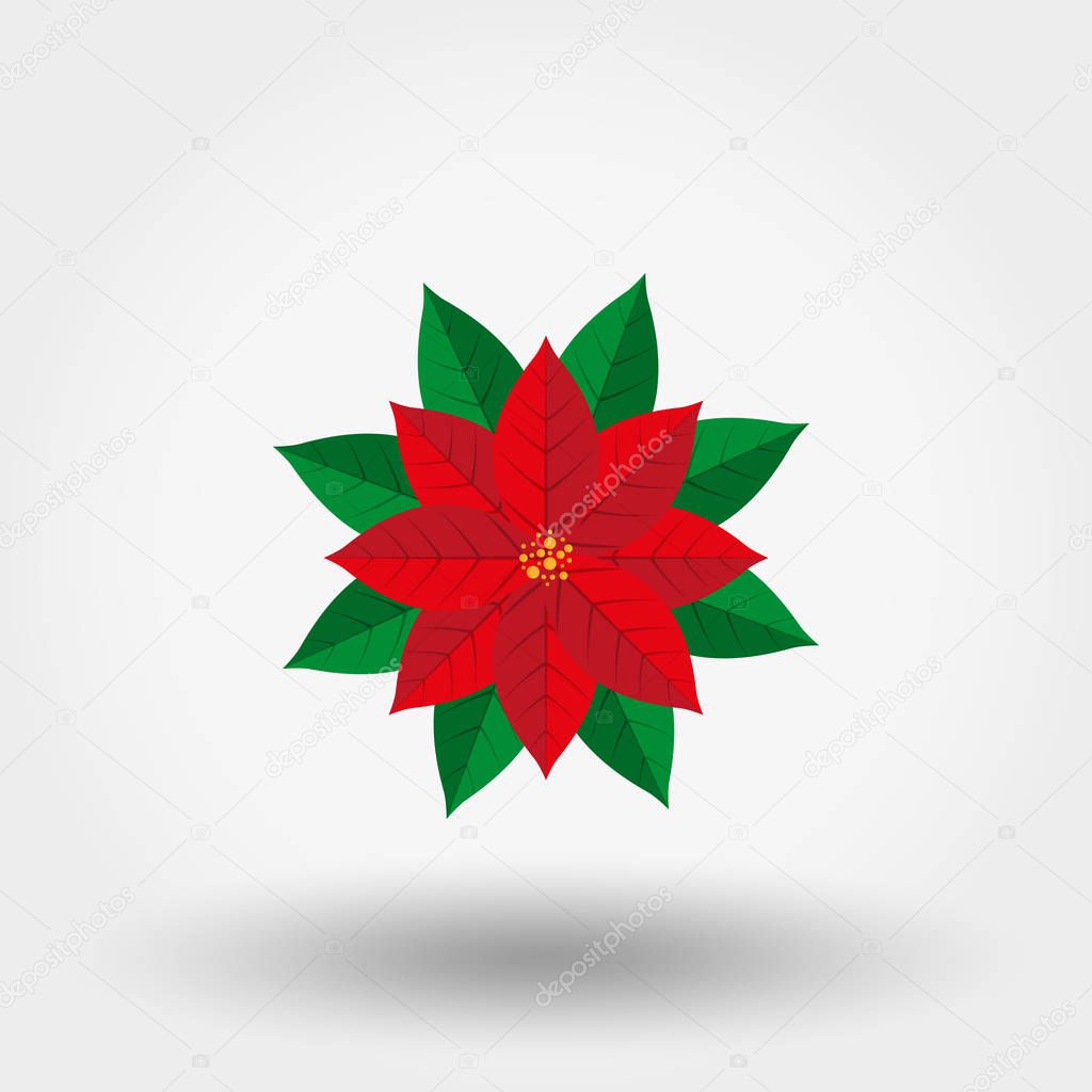 Weihnachtsstern Weihnachtsstern Vektor Icon Stockvektor