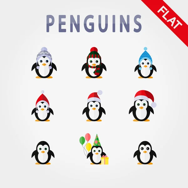 Farklı şapka penguenler