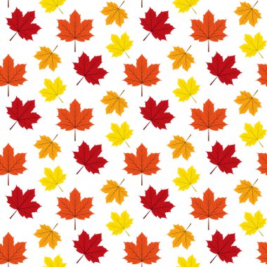 Desen sonbahar akçaağaç yaprakları.