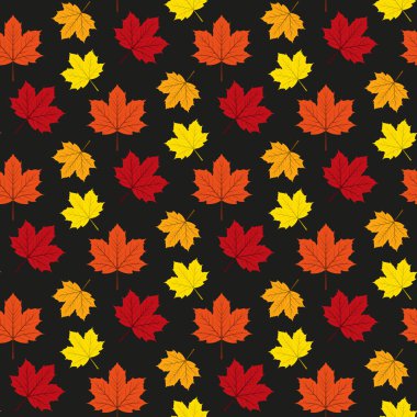 Desen sonbahar akçaağaç yaprakları.