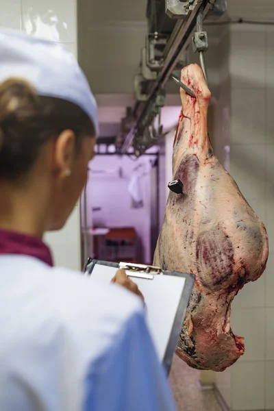 Controle de qualidade da carne em açougue . — Fotografia de Stock