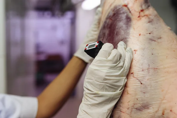 Controle de qualidade da carne em açougue . — Fotografia de Stock