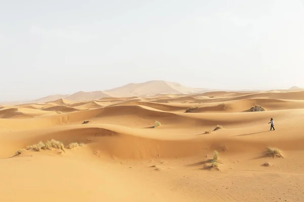 Gold desert in sunset. — Stock Photo, Image