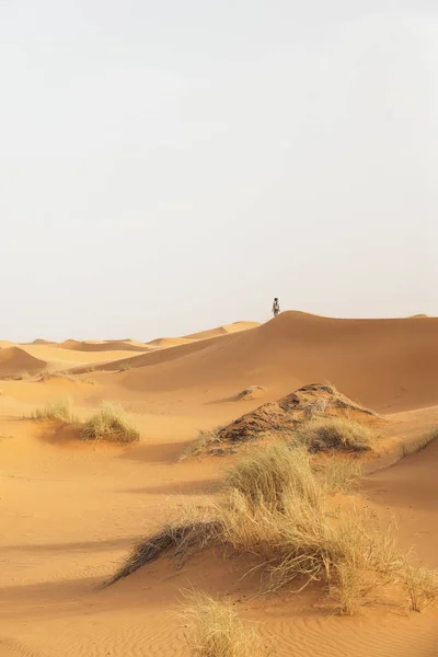 Arany sivatagi naplemente. — Stock Fotó