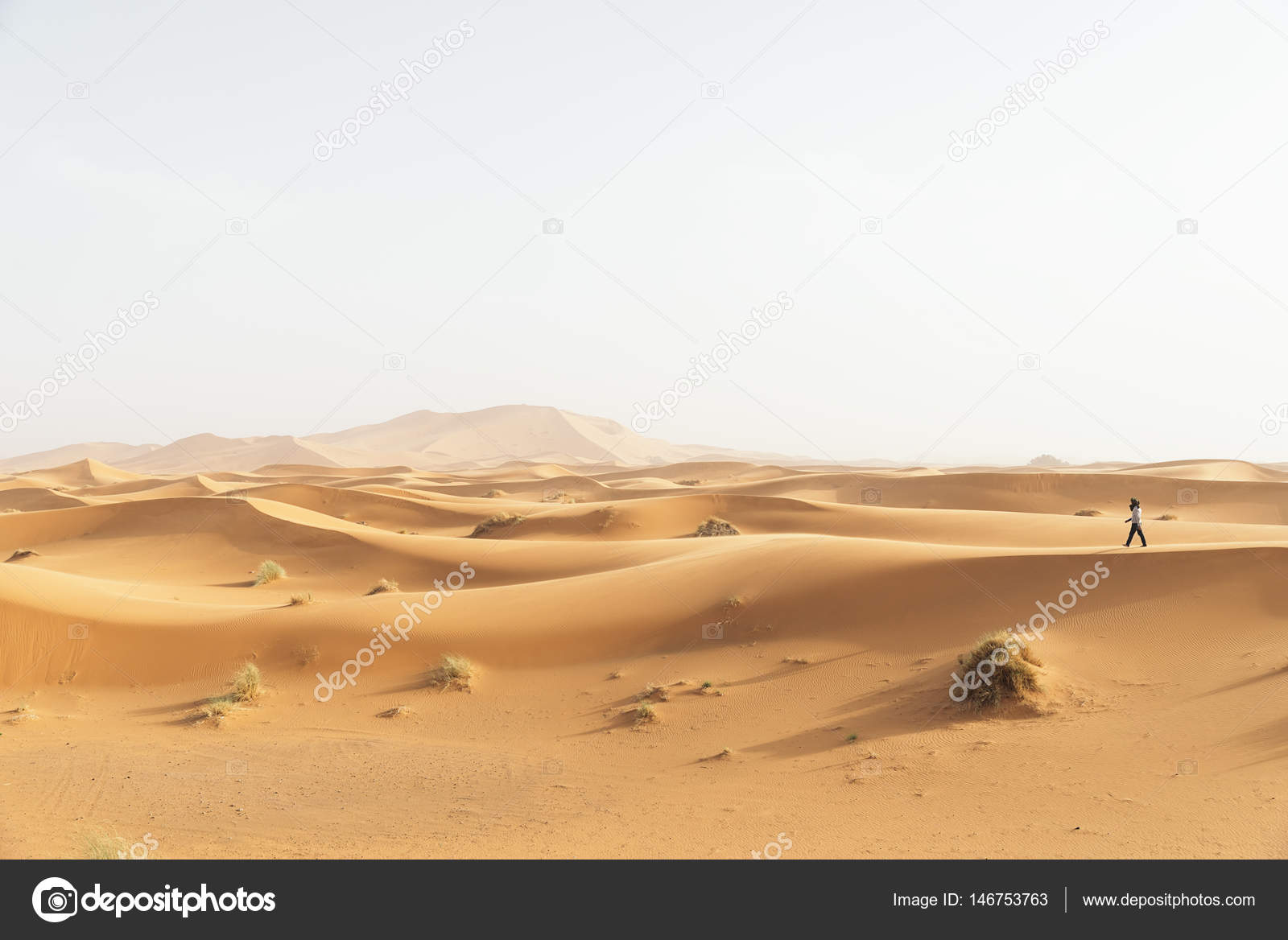 Gold desert in sunset. Stock Photo by ©santypan 146753763