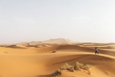 Günbatımı altın çölde.