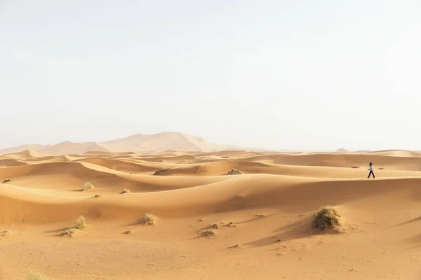 夕日の金の砂漠. — ストック写真