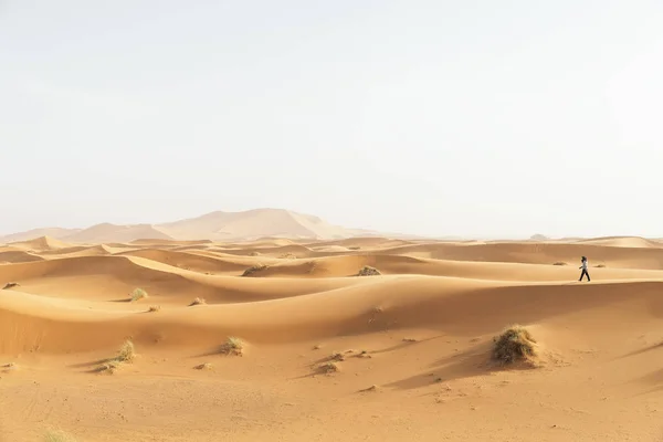 Deserto d'oro al tramonto . — Foto Stock