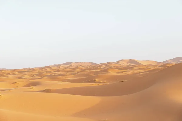 Desierto de oro al atardecer . — Foto de Stock