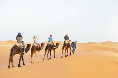 Dromedary üzerinde turist insanlarla yolculuk.