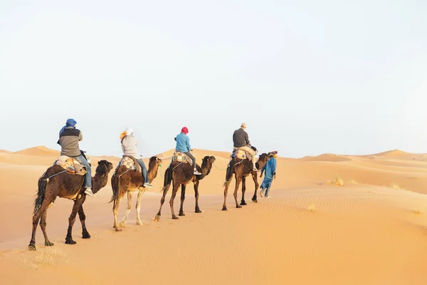 Turiștii merg pe dromedary . — Fotografie, imagine de stoc