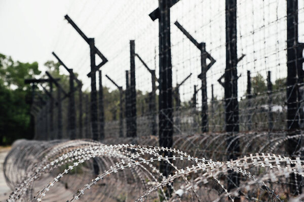 Heavy duty barbed wire.