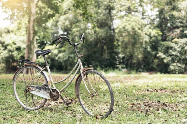 Old bicycle in the forest. — Stock Photo, Image