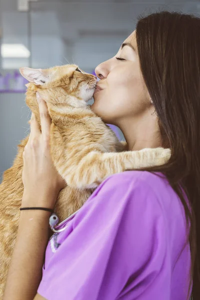 Врач-ветеринар целует маленькую кошку . — стоковое фото