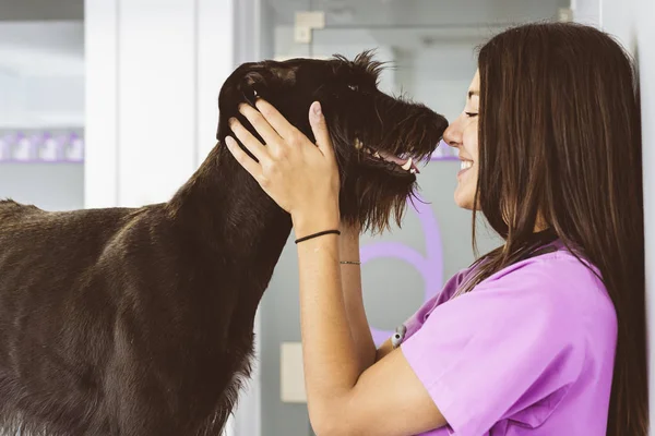 Médico veterinario abrazando a un hermoso perro . — Foto de Stock