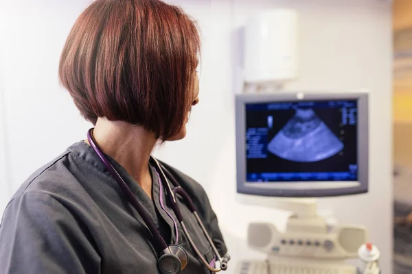 Veterinarian doctor is making a ultrasound scan of a cute beauti — Stock Photo, Image