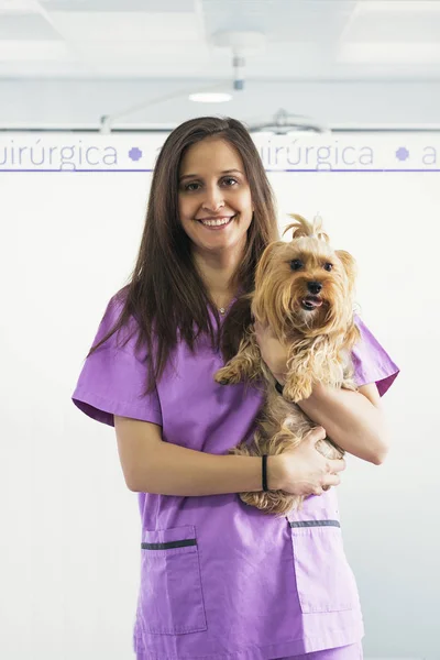 Glada kvinnor veterinär håller en liten hund. — Stockfoto