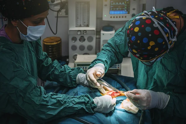 Equipo de Cirujanos Operando en el Hospital . —  Fotos de Stock