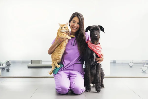 Mulheres alegres veterinária segurando um gato e cachorro amarelo . — Fotografia de Stock